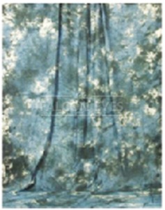 Фон DW-106 DW-3060