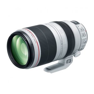 Объектив Canon EF 100-400mm F4.5-5.6 L IS II USM