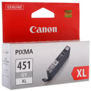 Набор картриджей Canon CLI-451GY XL