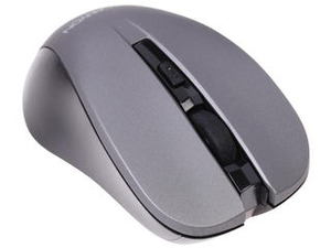 Мышь беспроводная Canyon CNE-CMSW1G