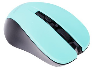 Мышь беспроводная Canyon CNE-CMSW1GR