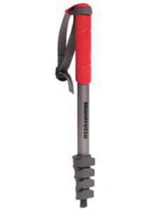 Штатив Manfrotto MMCOMPACT-RD серебристый