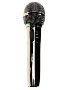 Микрофон Ritmix RWM-101 черный