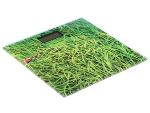 Весы Maxwell MW-2659 G