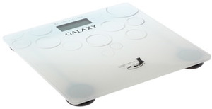 Весы Galaxy GL 4806