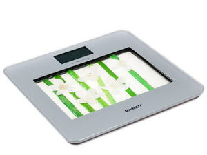 Весы Scarlett SC-BS33E002