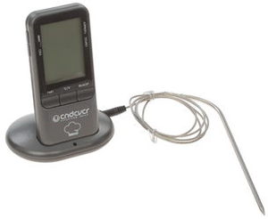 Термощуп Endever Smart-06