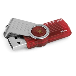 Память USB Flash Kingston DataTraveler DT101G2 8 Гб