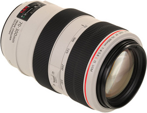 Объектив Canon EF 70-300mm F4-5.6 L IS USM (4426B005)