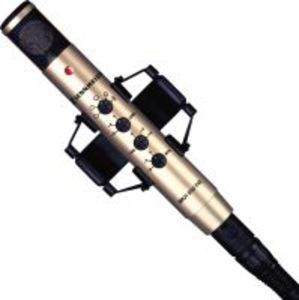 Конденсаторный микрофон Sennheiser MKH 800 P48