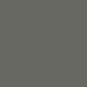 Фон бумажный FST 2,72х11 GREY 1005 серый