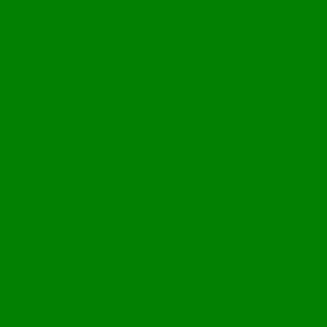 Фон бумажный FST 2,72х11 DARK GREEN 1006 зелёный