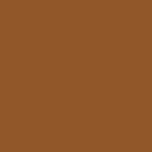 Фон бумажный Falcon Eyes 17-12 Widetone Sienna Коричневый