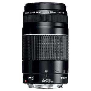 Объектив Canon EF 75-300mm F4.0-5.6 III (Б.У.)