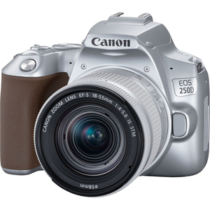 Цифровой фотоаппарат Canon EOS 250D Kit EF-S 18-55mm IS STM Silver