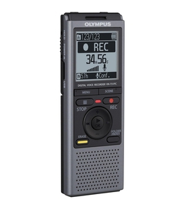 Цифровой диктофон Olympus VN-731PC, серый (2ГБ)