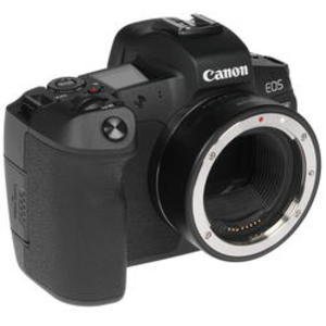 Цифровой фотоаппарат Canon EOS R Body + адаптер EF-EOS R