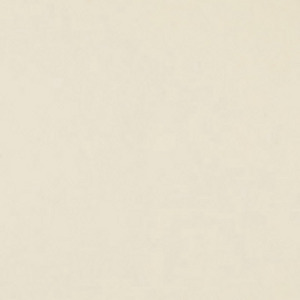 Фон бумажный FST 2,72х11 CREAM 1039 цвет шампанского