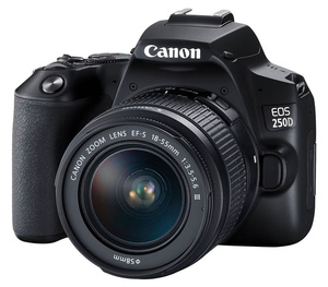Цифровой фотоаппарат Canon EOS 250D Kit 18-55mm DC III Black(