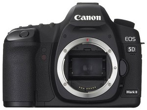 Цифровой фотоаппарат Canon EOS 5D Mark II body (Б.У)